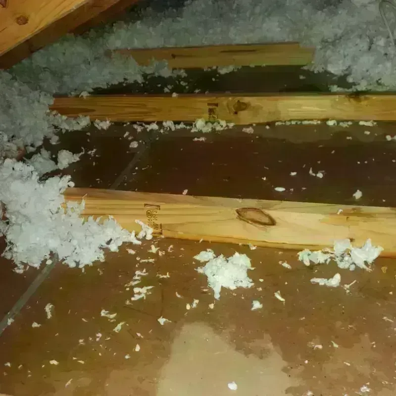 Attic Water Damage in Flint City, AL