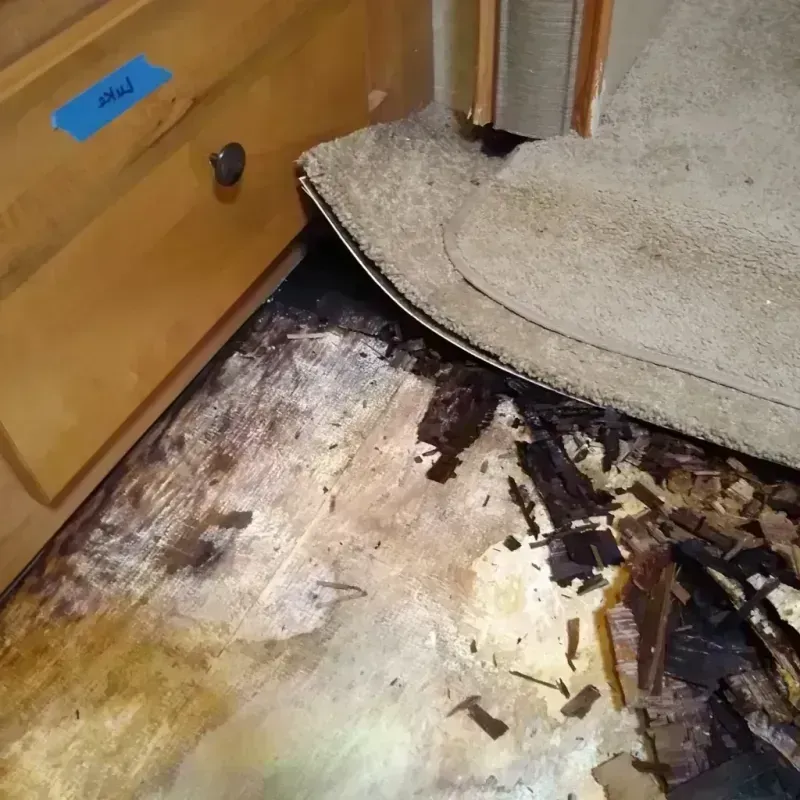 Wood Floor Water Damage in Flint City, AL